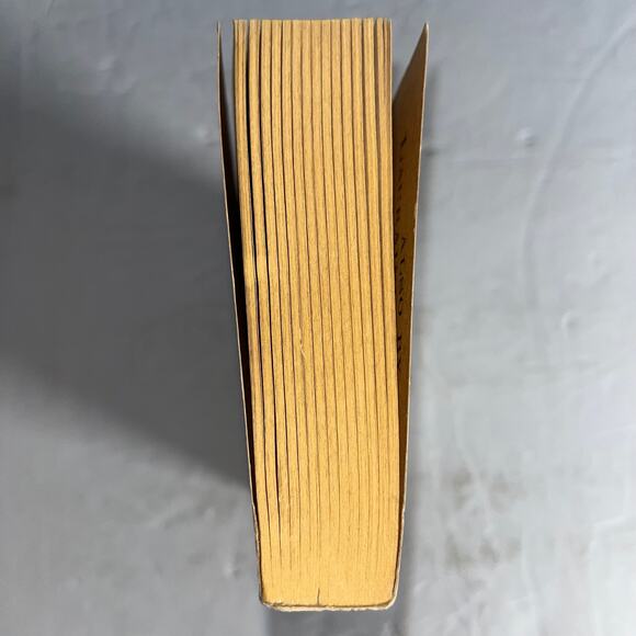 One Perfect Day: A Novel - Book by Lauraine Snelling - Picture 4 of 7